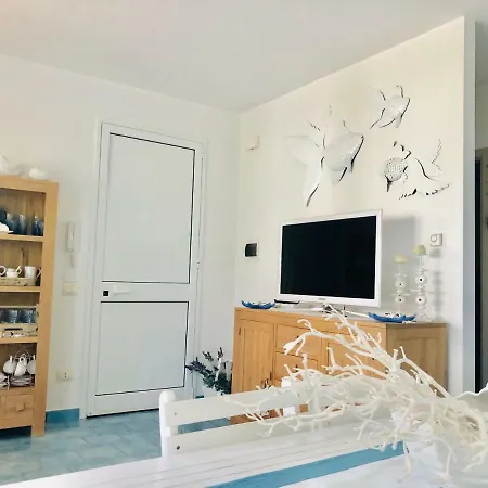 Camelie * كامبوفيليتْشّي دي روتْشّي